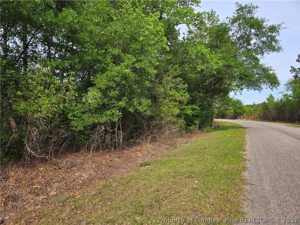 234 Circle Drive, Vass, NC 28394 — photo 6