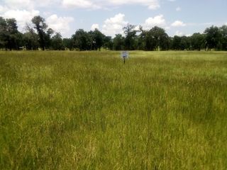 TR 7 Tbd Pr 1311, Centerville, TX 75833