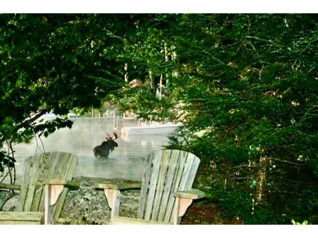 28 Veasey Shore Road, Meredith, NH 03253