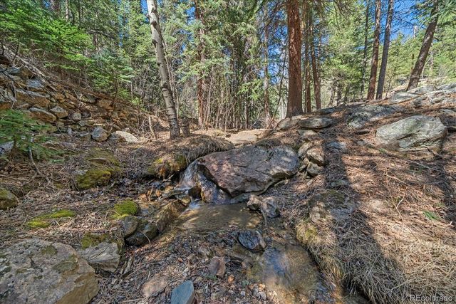 1385 Beaver Brook Canyon Road, Evergreen, CO 80439