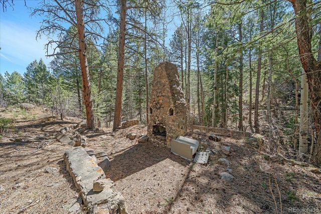 1385 Beaver Brook Canyon Road, Evergreen, CO 80439