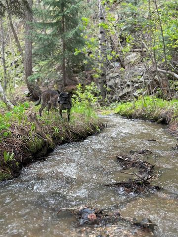 1385 Beaver Brook Canyon Road, Evergreen, CO 80439