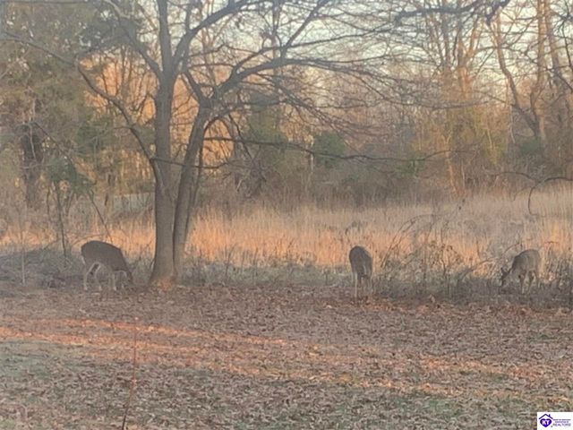 262 Thousand Oaks Drive, Elizabethtown, KY 42701