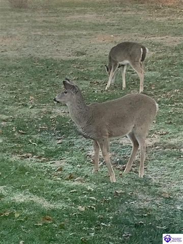 262 Thousand Oaks Drive, Elizabethtown, KY 42701