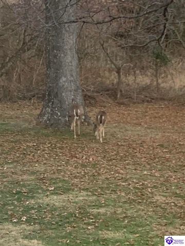 262 Thousand Oaks Drive, Elizabethtown, KY 42701