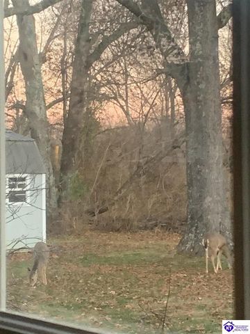 262 Thousand Oaks Drive, Elizabethtown, KY 42701