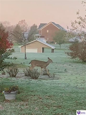 262 Thousand Oaks Drive, Elizabethtown, KY 42701