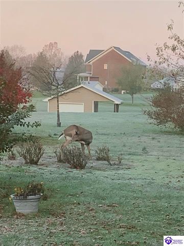 262 Thousand Oaks Drive, Elizabethtown, KY 42701