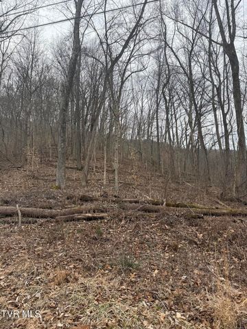 2016 Queensbury Court, Kingsport, TN 37660