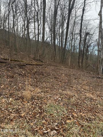 2016 Queensbury Court, Kingsport, TN 37660