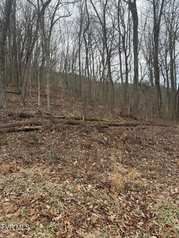 2016 Queensbury Court, Kingsport, TN 37660