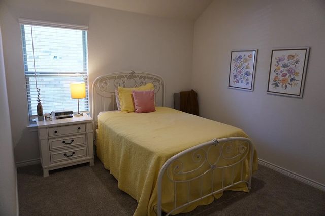 9721 Elk Falls Lane, Aubrey, TX 76227