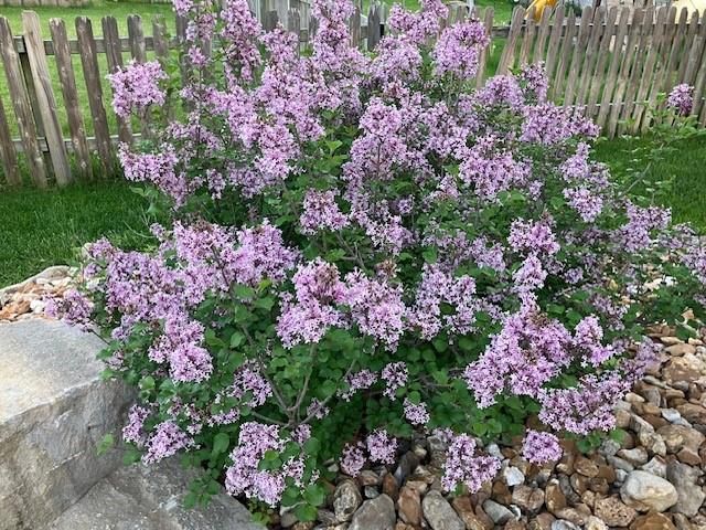 18235 W 156 Street, Olathe, KS 66062