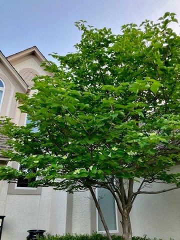 18235 W 156 Street, Olathe, KS 66062