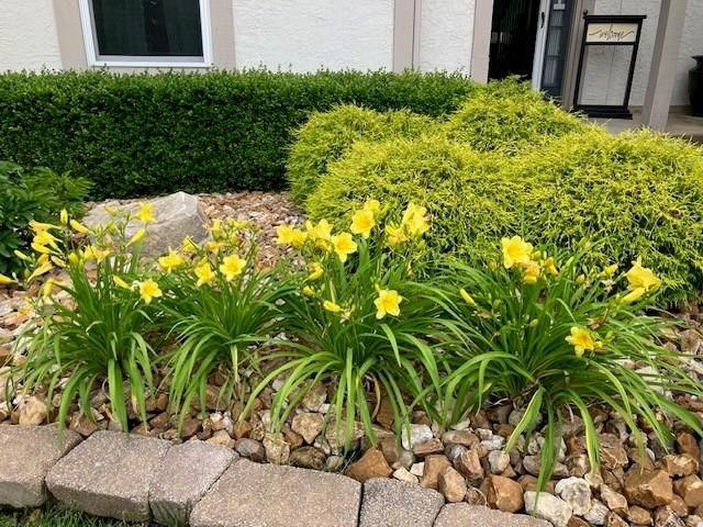 18235 W 156 Street, Olathe, KS 66062