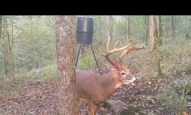 840 A T Dean Road, Harrodsburg, KY 40330