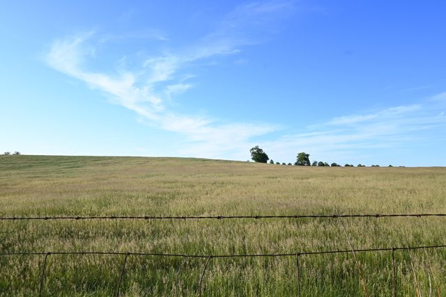 160 Bernie Trail, Nicholasville, KY 40356