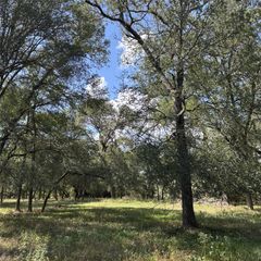 2477 State Highway 159, La Grange, TX 78945