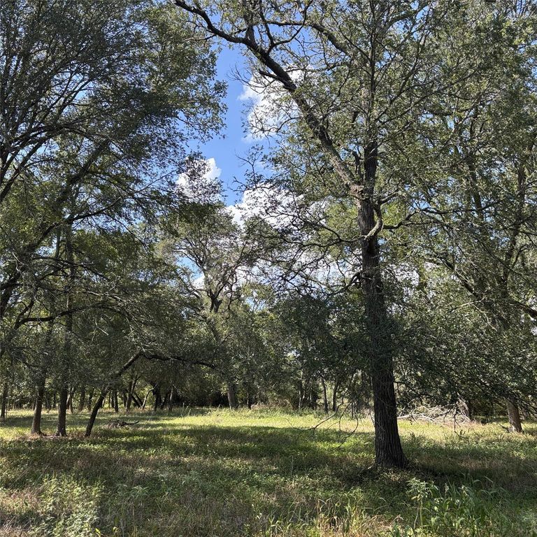 2477 State Highway 159, La Grange, TX 78945