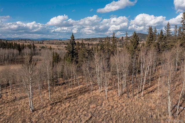 2387 Buffalo Ridge Road, Como, CO 80432