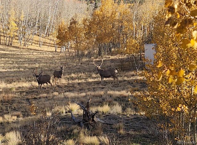 2387 Buffalo Ridge Road, Como, CO 80432