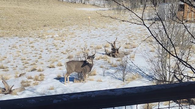 2387 Buffalo Ridge Road, Como, CO 80432