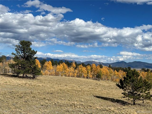 2387 Buffalo Ridge Road, Como, CO 80432