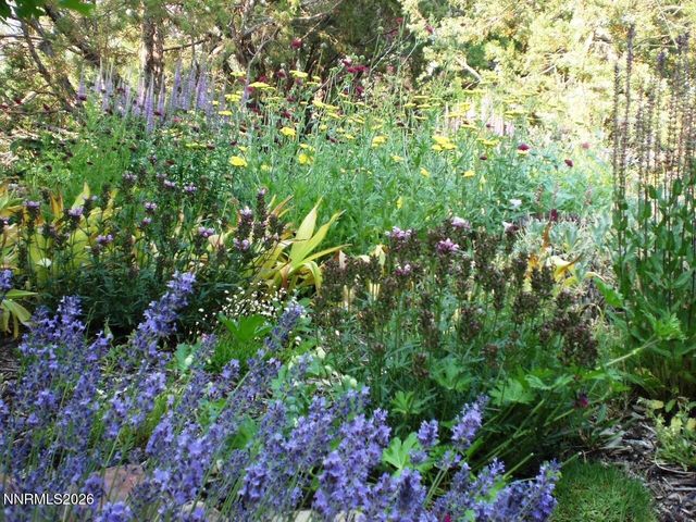 4055 Plateau Road, Reno, NV 89519