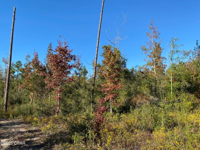 7939 John Pitts Road, Panama City, FL 32404