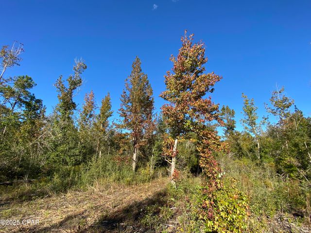 7939 John Pitts Road, Panama City, FL 32404