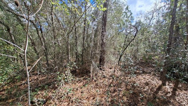 FISHER RUN, Ocklawaha, FL 32183