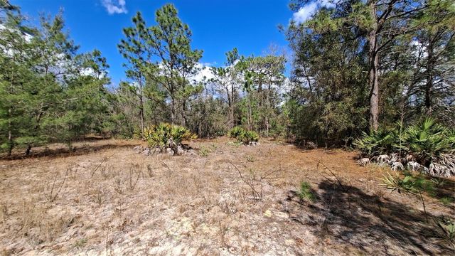 FISHER RUN, Ocklawaha, FL 32183