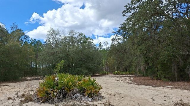 FISHER RUN, Ocklawaha, FL 32183