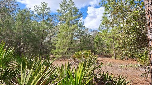 FISHER RUN, Ocklawaha, FL 32183