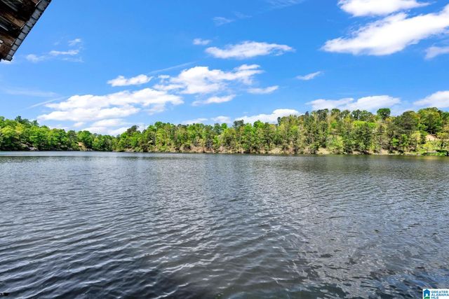 206 WOFFORD LANE, Oneonta, AL 35121