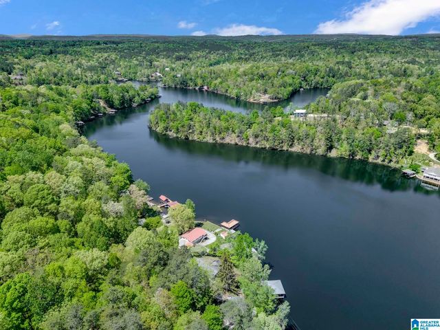 206 WOFFORD LANE, Oneonta, AL 35121