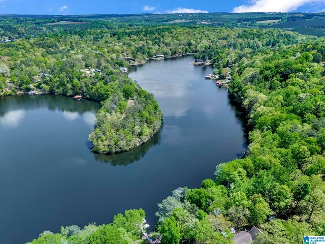 206 WOFFORD LANE, Oneonta, AL 35121