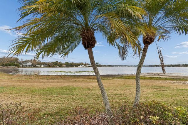 13765 JUNIPER BLOSSOM DRIVE 101, Tampa, FL 33618