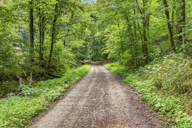 339 Wheeler Town Lane, Bloomington Springs, TN 38545