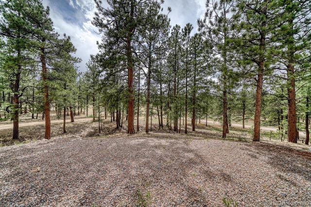 453 Black Fawn Lane, Westcliffe, CO 81252