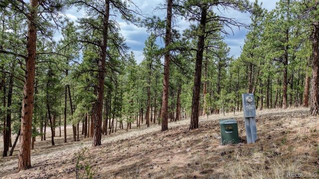 453 Black Fawn Lane, Westcliffe, CO 81252