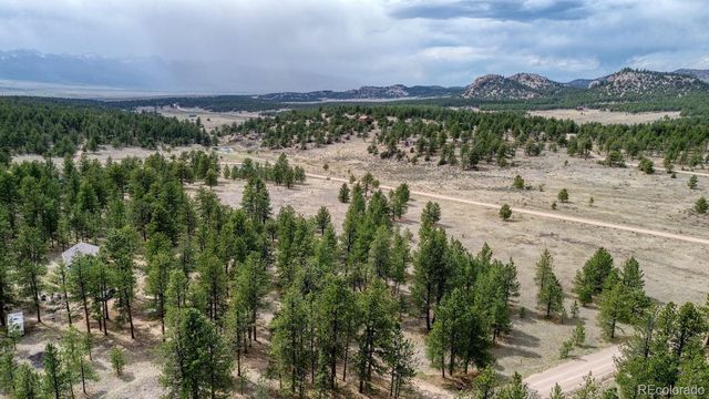 453 Black Fawn Lane, Westcliffe, CO 81252