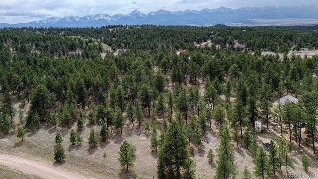453 Black Fawn Lane, Westcliffe, CO 81252