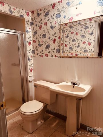 395 Wood Hollow Road, Taylorsville, NC 28681