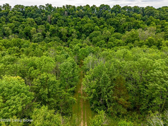 414 Brashears Point Rd, Taylorsville, KY 40071