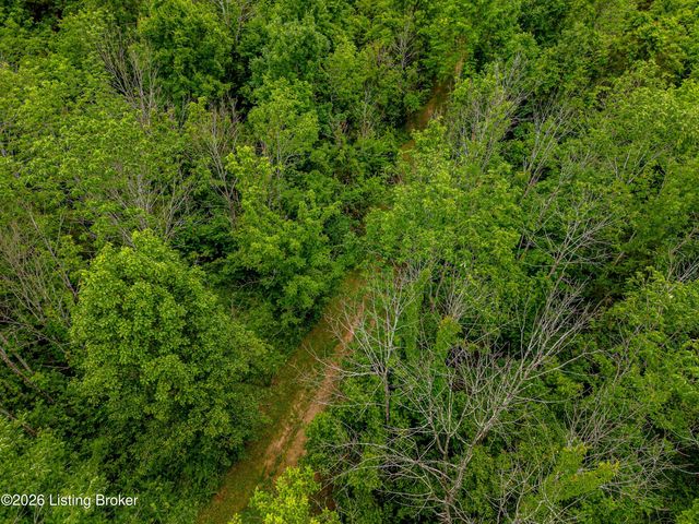 414 Brashears Point Rd, Taylorsville, KY 40071