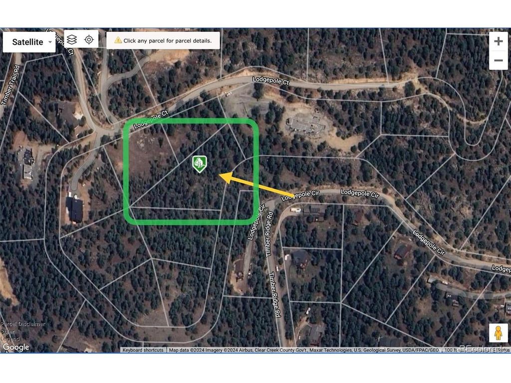 32724 Lodgepole Cir, Evergreen, CO 80439