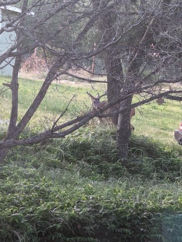 10601 Lime Kiln Rd, Grass Valley, CA 95949