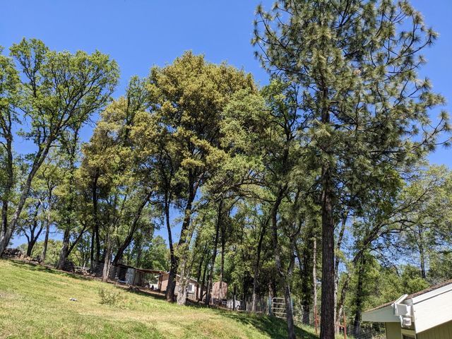 10601 Lime Kiln Rd, Grass Valley, CA 95949