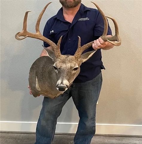 7196 South County Road 458, Normangee, TX 77871